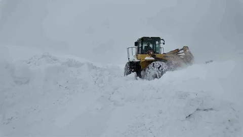 Bingöl'de Karla Mücadele Devam Ediyor