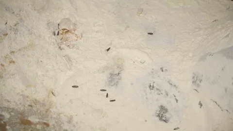 Yenişehir Belediyesi’nden YESAŞ’a Cezai İşlem