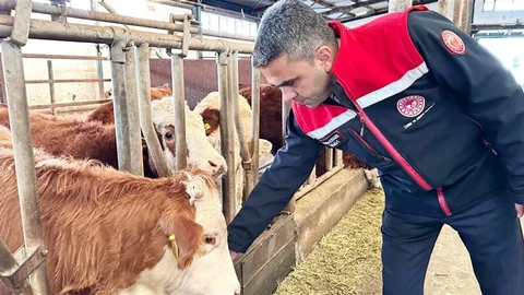 Erzurum'da Tarımsal Destekler Artıyor