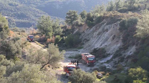 Antalya Orman Yangınında Zarar Açıklandı