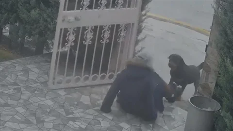 Ankara'da Köpek Saldırısı Olayı