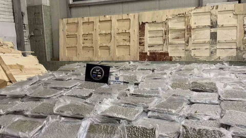 Edirne'de 700 Kilo Esrar Ele Geçirildi