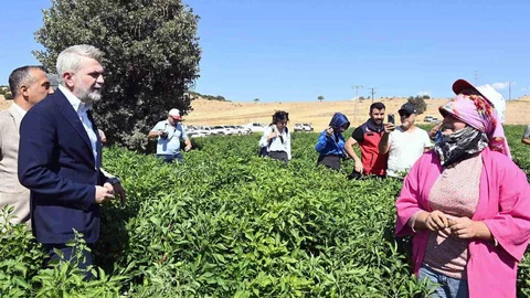 Kahramanmaraş'ta Çiftçilere 100 Milyon TL Destek