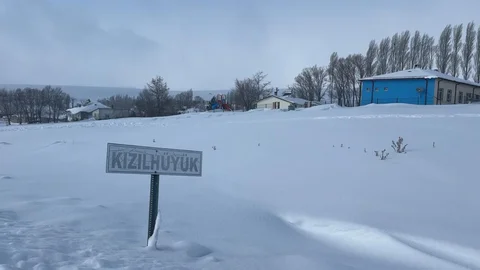 Sivas'ta Kurtlar İçin Yiyecek Bırakıldı