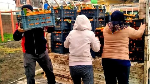 Alaçatı'dan Hatay'a Dayanışma Kampanyası