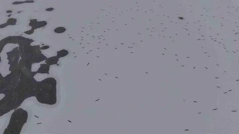 Cip Baraj Gölü Dondu