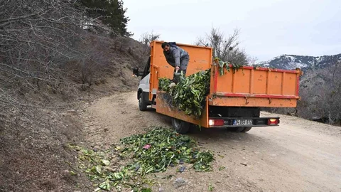 Isparta'da Yaban Hayvanlarına Destek Çalışması