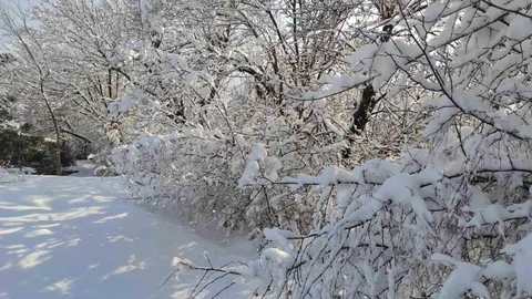 Batman'da Kar Manzaraları Oluştu