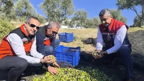 Aydın'da Tarımsal Denetimler Artıyor