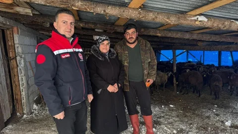 Bayburt'ta Hayvancılık Destekleri Devam Ediyor