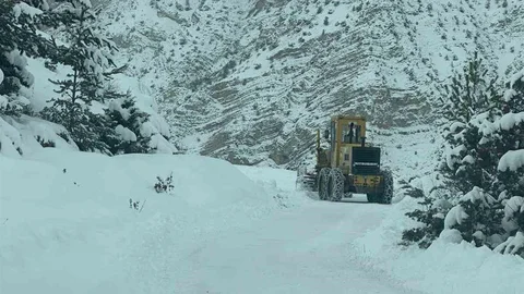 Artvin'de Kar Yağışı Ulaşımı Engelliyor