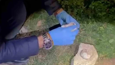 Hatay'da Uyuşturucu Operasyonu