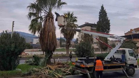 Efeler'de Umurlu Karayolu'nda Çalışma