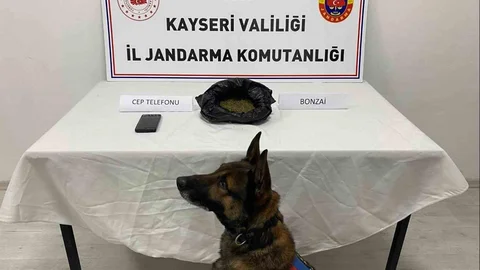 Kayseri'de Uyuşturucu Operasyonu Yapıldı