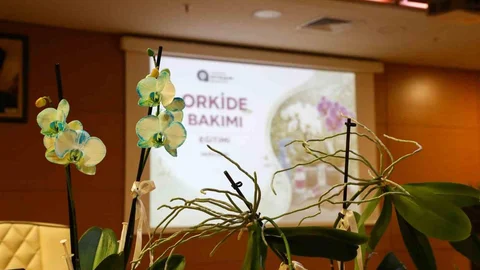 Antalya'da Orkide Bakımı Eğitimi Verildi