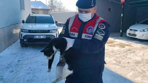 Bacağı Kopma Tehlikesi Olan Kedi Kurtarıldı