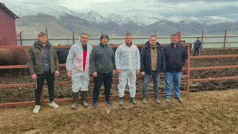 Dinar'da İthal Hayvan Denetimi Yapıldı