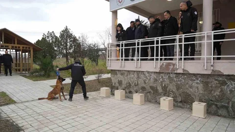 Samsun'da Görev Köpeği 'Pars' Teslim Edildi