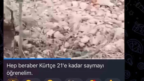 SDG'li Teröristlerin Sivilleri Saydığı Ortaya Çıktı