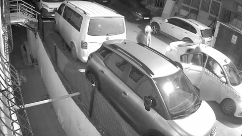 İstanbul'da Silahlı Saldırıya 6 Gözaltı