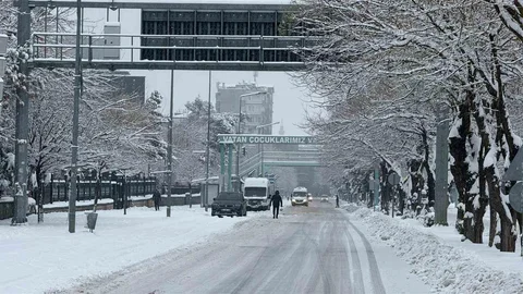 Diyarbakır'da Kar Yağışı Etkili Oluyor