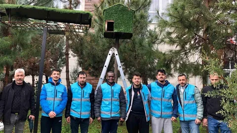 Yurt Öğrencileri Kuşlar İçin Ev Yaptı