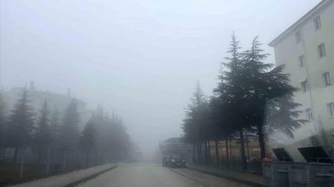 Eskişehir'de Yoğun Sis Etkili Oldu