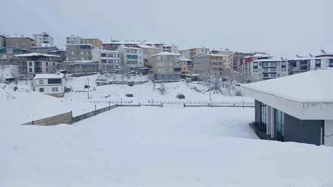 Kulp'ta Yoğun Kar Yağışı Hayatı Olumsuz Etkiledi