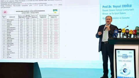 Bursa'da Su Kaynakları Korunmalı