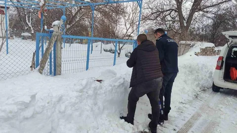 Bünyan'da Sokak Hayvanlarına Mama Desteği Sağlandı