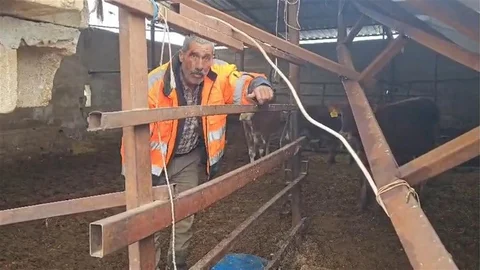 Gaziantep'te Ahırın Çatısı Çöktü