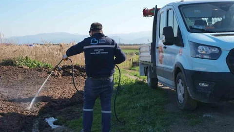 Balıkesir'de Haşereyle Mücadele Devam Ediyor