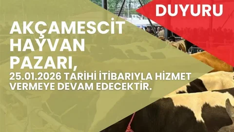 Hayvan Pazarı 4 Ay Sonra Açılıyor