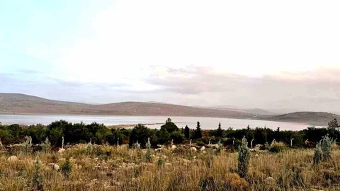 Kutlu Aktaş Barajı'nda Su Seviyesi Yükseldi