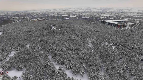 Elazığ'da Kar Manzarası Büyüleyici