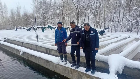 Van’da Alabalık Üretimi Denetimleri Devam Ediyor