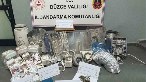 Düzce'de Kenevir Bahçesi Kurdu