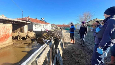 Edirne'de Kuza Sevinci Yaşandı