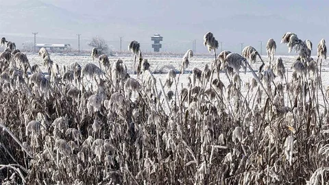 Kaz Gölü'nde Kış Manzarası