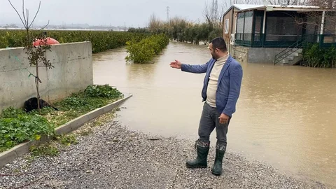 Antalya'da Sağanak Sonrası 4 Köpek Kurtarıldı