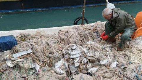 Silifke'de Balık Çiftliğinde Ağ Yırtılması Olayı