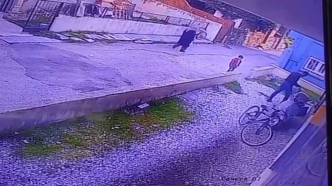Manisa'da Köpek Katliamı Olayı