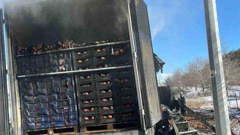 Adana'da Narenciye Yüklü Tır Yangını