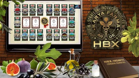 Karya Farma HBX Ar-Ge İncir ve Zeytin Akademisi Kuracak