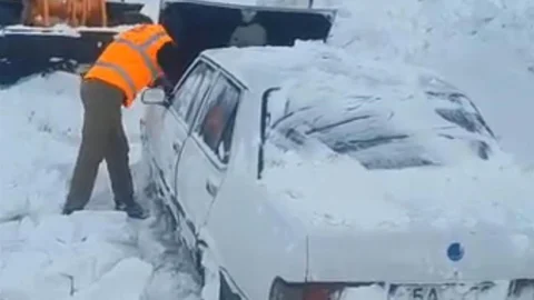 Hayvanlar Aç Kalmasın Diye Zor Anlar Yaşadı