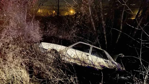 Kastamonu'da Otomobil Ağaca Çarptı