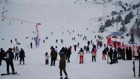 Çakal Erzincan'da Kayak Yaptı