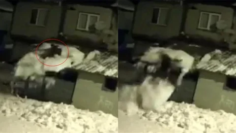 Tokat'ta Çatıdan Düşen Vatandaş