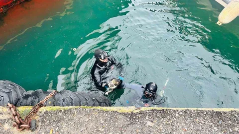 İzmir'de Sıkışan Kedi Kurtarıldı