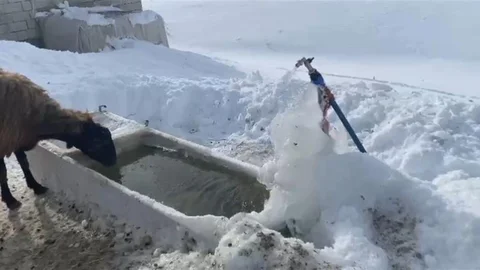 Ağrı'da Dondurucu Soğuklar Devam Ediyor
